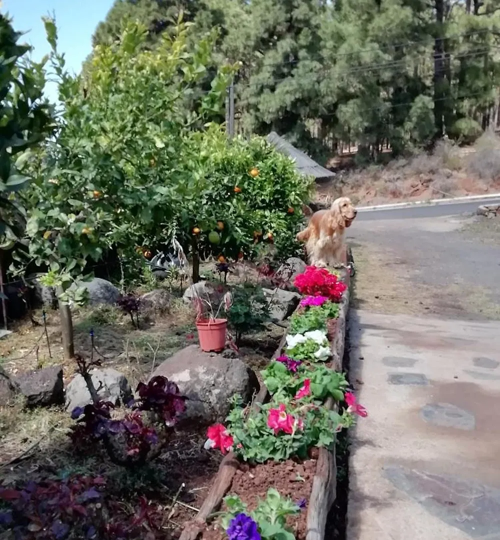 Apartamento Casa Fagundo Puntagorda